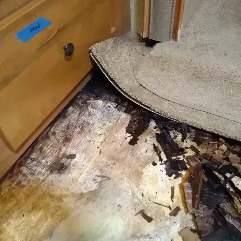 Wood Floor Water Damage in Solano County, CA